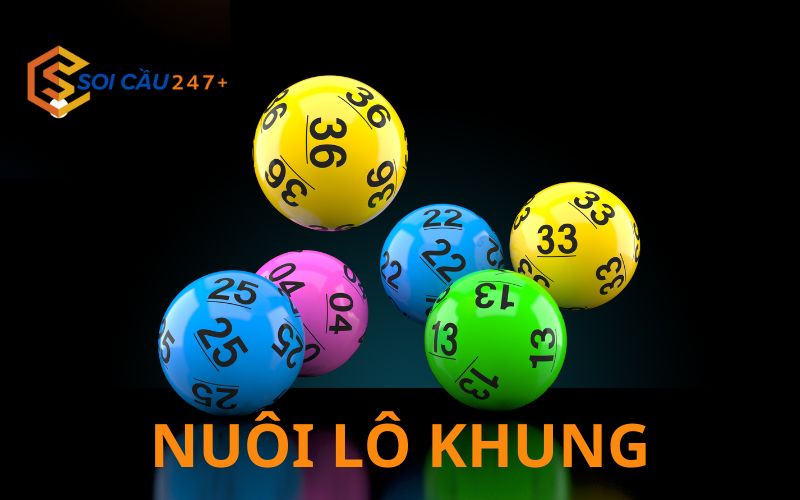 Nuôi lô khung