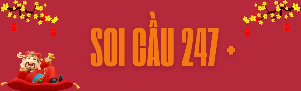 soi-cau-247