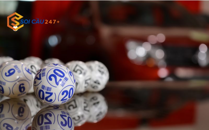 Mẹo nuôi bạch thủ lô khung 3 ngày